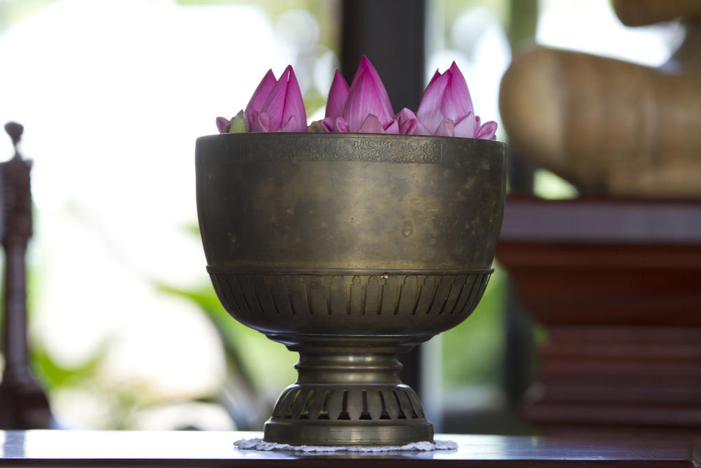 Saem Siemreap Hotel Siem Reap Dış mekan fotoğraf